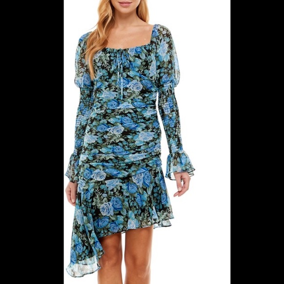 NWT Wayf Rosie Floral Mini Dress in Red Roses - Picture 2 of 7